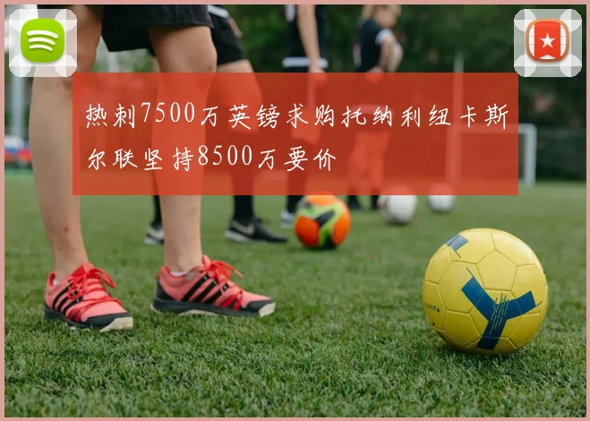 热刺7500万英镑求购托纳利纽卡斯尔联坚持8500万要价